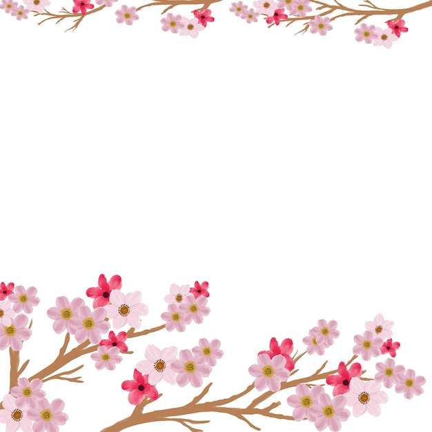 Vecteur sakura rose sur fond blanc