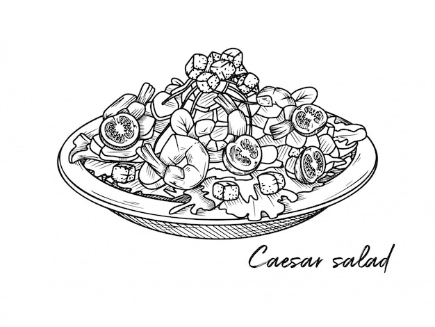 Vecteur salade césar aux crevettes isolé sur fond blanc. esquissez des plats italiens. illustration