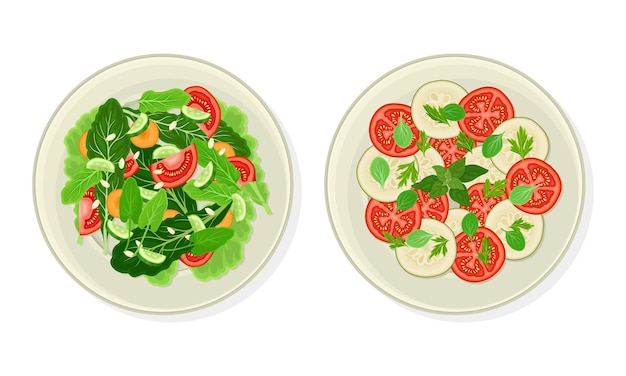 Salade de légumes verts et de tomates tranchées et de concombres comme plat végétarien ci-dessus