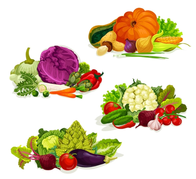 Vecteur salades et choux de nourriture végétarienne de légumes