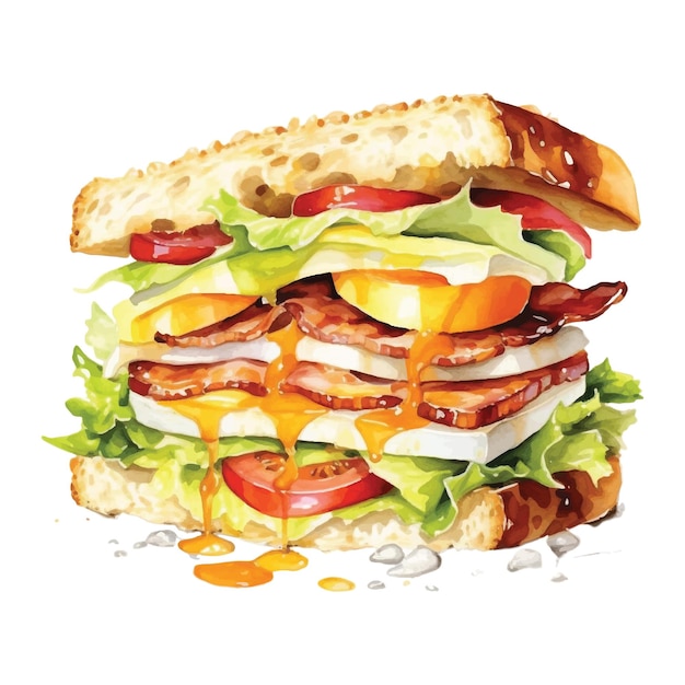 Vecteur sandwich à l'aquarelle sur fond blanc