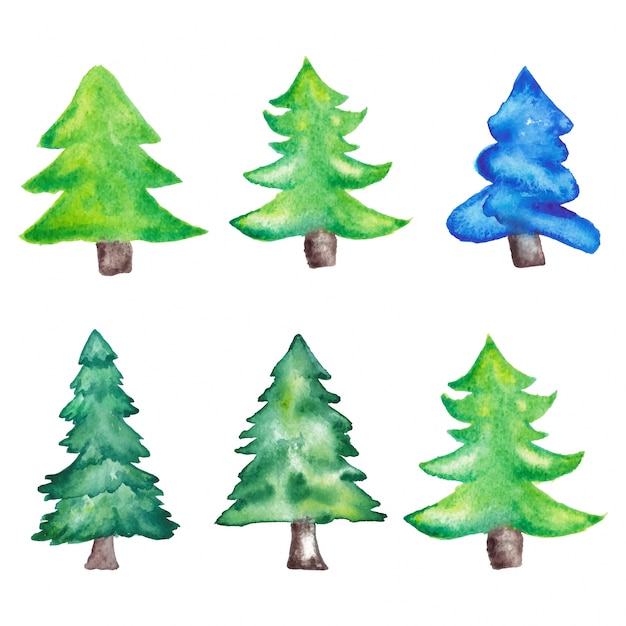 Sapins De Noël Aquarelles