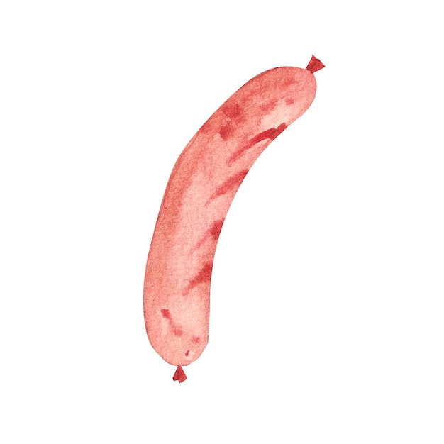 Saucisse aquarelle