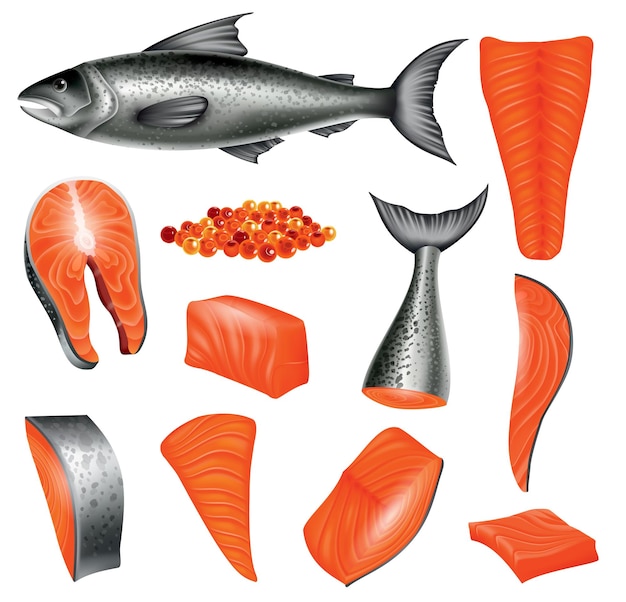 Vecteur saumon dans différentes coupes et œufs de saumon poisson rouge isolé sur fond blanc illustration vectorielle de fruits de mer crus produit réaliste d'une alimentation saine