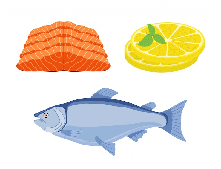 Vecteur saumon, tranches de citron - repas gastronomique