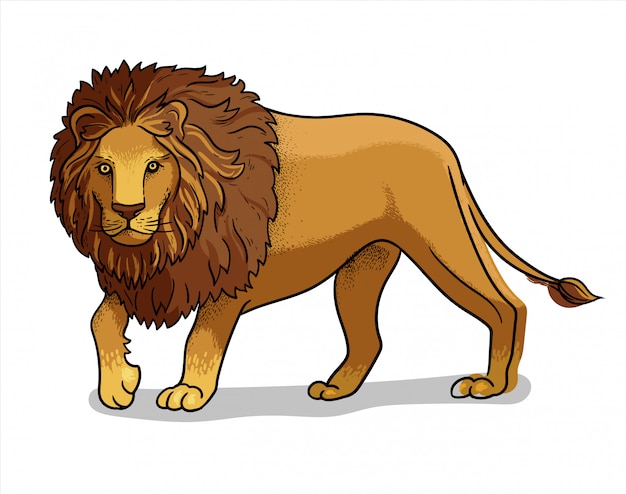 Vecteur savane africaine debout lion mâle isolé en style cartoon. illustration de zoologie éducative, image de livre de coloriage.