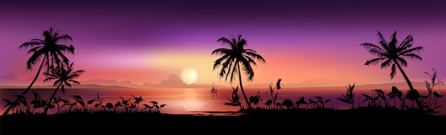 Scène De Coucher De Soleil Tropical