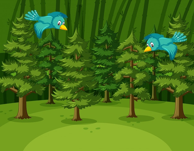 Scène avec deux oiseaux volant dans la forêt