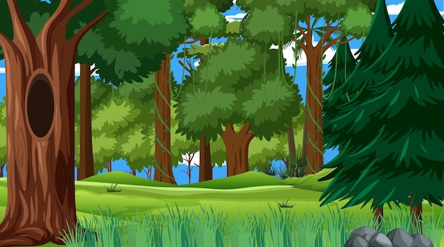 Scène de forêt avec divers arbres forestiers