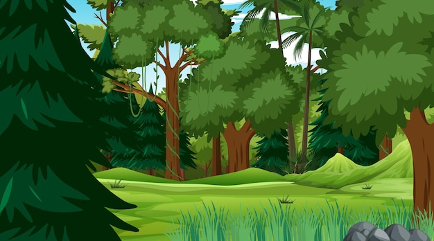 Scène de forêt avec divers arbres forestiers