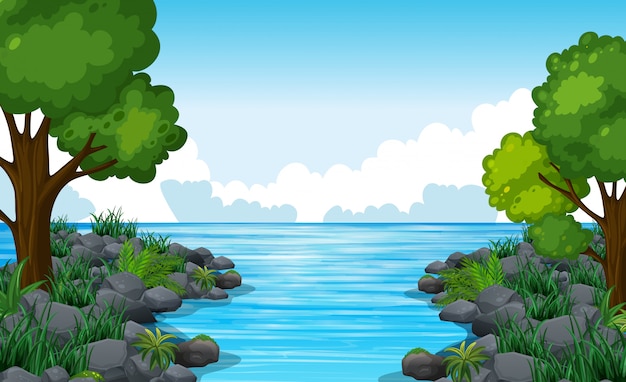 Scène de la nature de la rivière avec de nombreux arbres