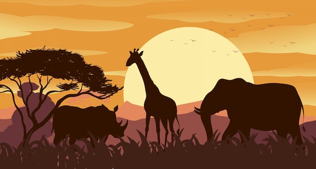 Scène de silhouette avec des animaux sauvages au coucher du soleil