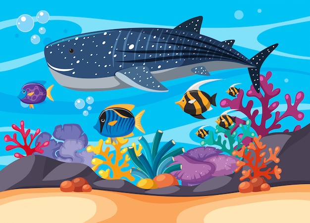 Vecteur scène sous-marine avec whaleshark et autres poissons