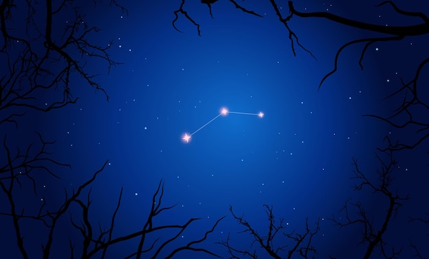 Schéma De Constellation Leo Minor Sur Fond De Ciel étoilé Et De Branches D'arbres