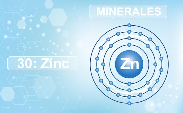 Schéma électronique De La Coque De L'élément Minéral Zinc Zn 30 Du Tableau Périodique Des éléments