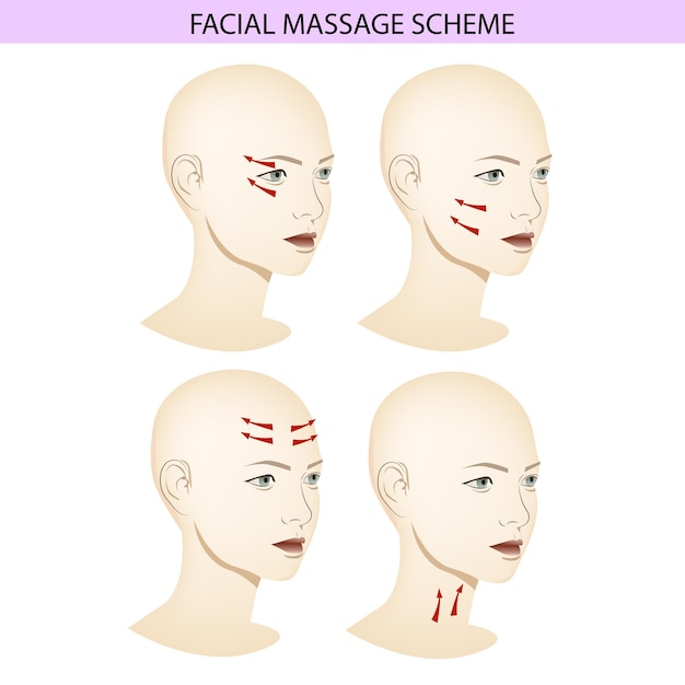 Vecteur schéma de massage facial, guide visuel de massage