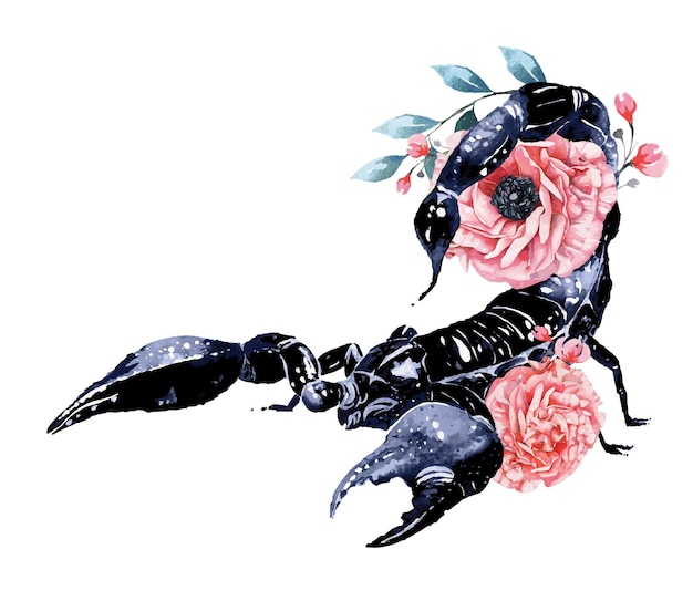 Vecteur scorpion aquarelle avec fleurs épanouiesastrologie signe du zodiaque scorpionanimaux venimeux dangereux