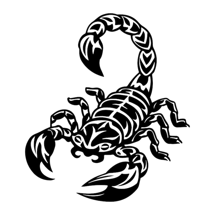 Vecteur un scorpion tribal pour le tatouage