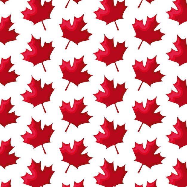 Seamless pattern of leafs maple Canada