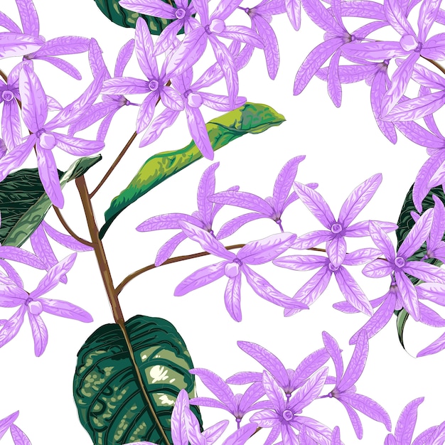 Vecteur seamless pattern petrea volubilis fleurs