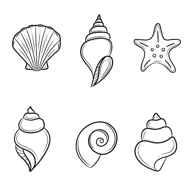 Seashells clipart  Coquillage dessin, Illustration art déco, Dessin floral