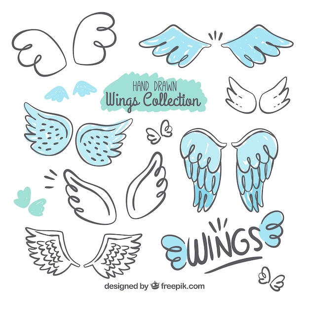 Sélection d&#39;ailes décoratives avec des détails bleus