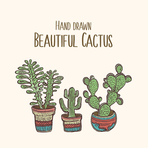 Sélection De Beaux Cactus Dessinés à La Main