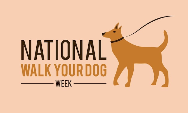 Vecteur semaine nationale de la promenade de votre chien 17 octobre modèle vectoriel pour l'affiche de la carte de voeux de bannière de la semaine nationale de la promenade de votre chien illustration vectorielle