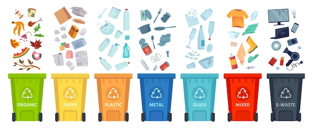 Vecteur séparation des déchets. trier les ordures par matériau et type dans des poubelles colorées. séparer et recycler l'infographie vectorielle des ordures. ordures et ordures, illustration du recyclage des déchets écologiques