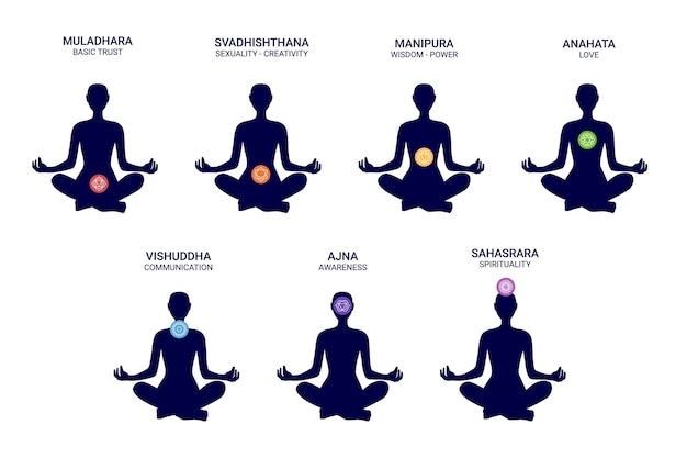 Vecteur sept chakras colorés et leurs noms et significations dans un corps humain