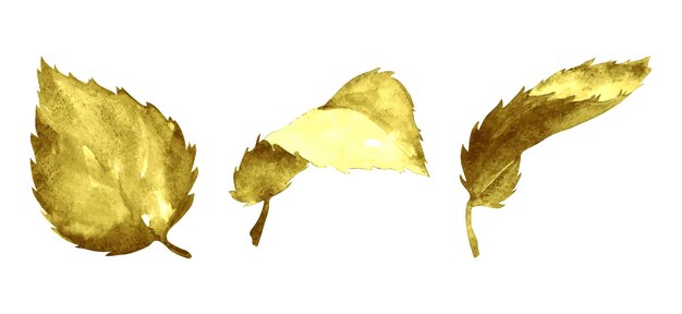 Vecteur séquences de feuilles de bouleau aquarelle