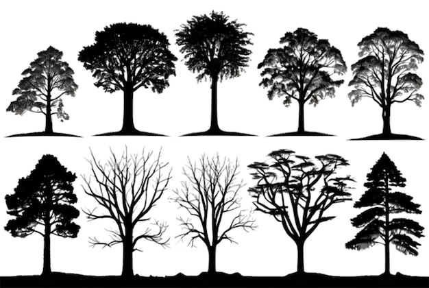 Vecteur une série d'arbres avec les mots citation arbres citation sur eux