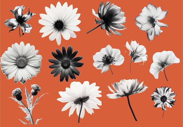 une série d'images de fleurs dont une qui a le mot fleurs