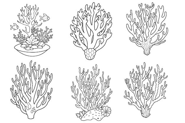 Vecteur une série de photos de coraux et de coraux