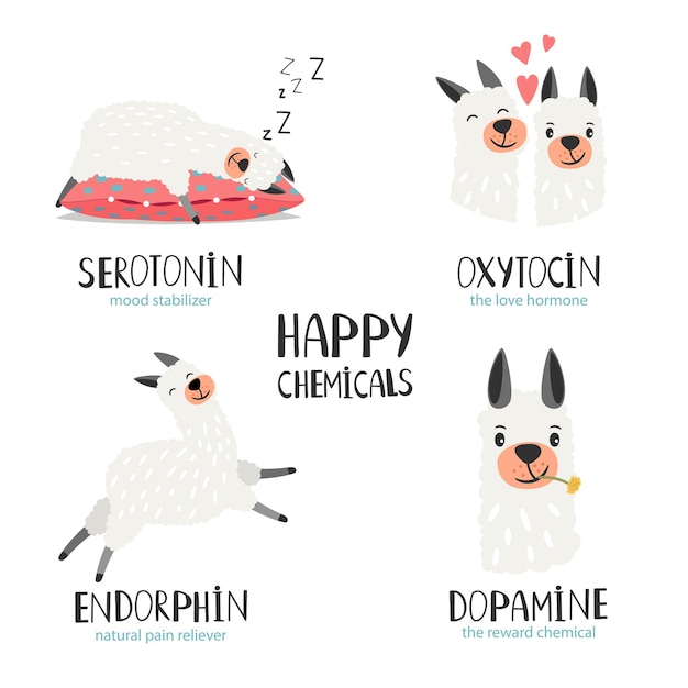 Vecteur sérotonine endorphine dopamine oxytocine hormone icône de santé hormones illustration vectorielle colorée avec un alpaca