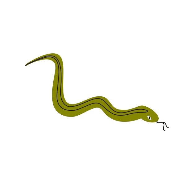 Serpent Dans Le Style Plat Dessiné à La Main Illustration Vectorielle Du Désert Sauvage De L'ouest Isolé Sur Fond Blanc