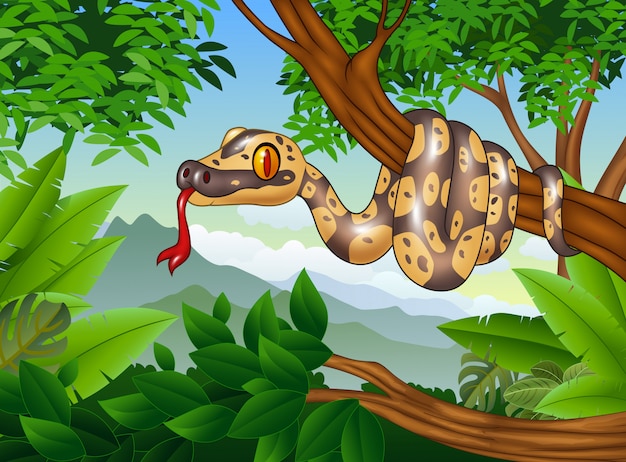 Serpent python dessin animé rampant sur une branche