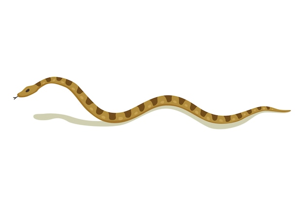 Serpent venimeux Danger animal couleur Reptile venimeux crawl Personnage décoratif faune nature animal