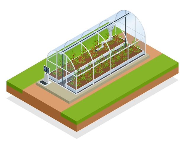 Serre industrielle intelligente moderne isométrique. Robots d'intelligence artificielle dans l'agriculture. Alimentation biologique, agriculture et concept hydroponique.