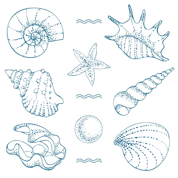 Sertie De Croquis De Contour De Coquillages Avec Des Détails De Points Nautilus Bursa Tridacna Lambis Turritella