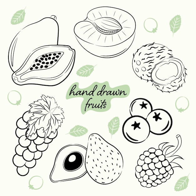 Sertie de croquis d'images de fruits en vecteur dans l'illustration