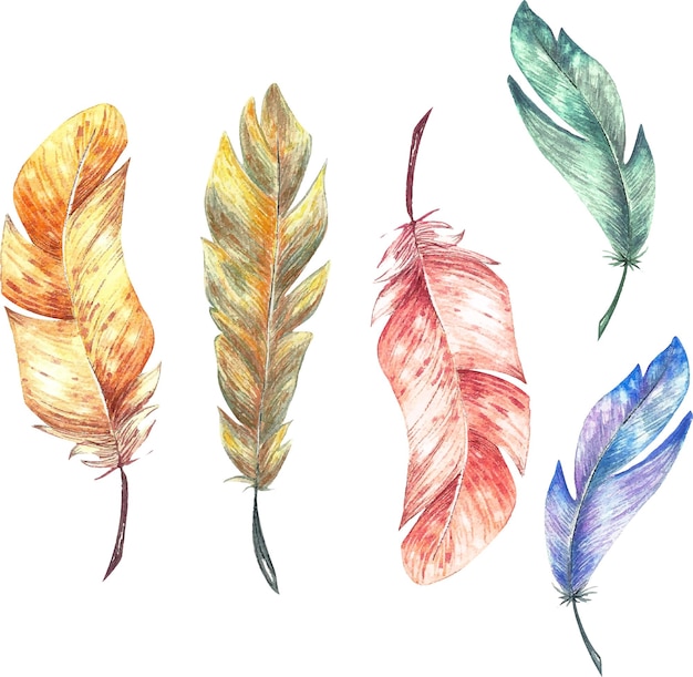 Sertie De Plumes Aquarelles