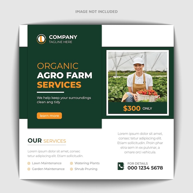 Vecteur service d'agriculture et de jardinage pour la conception de publications et de bannières sur les réseaux sociaux