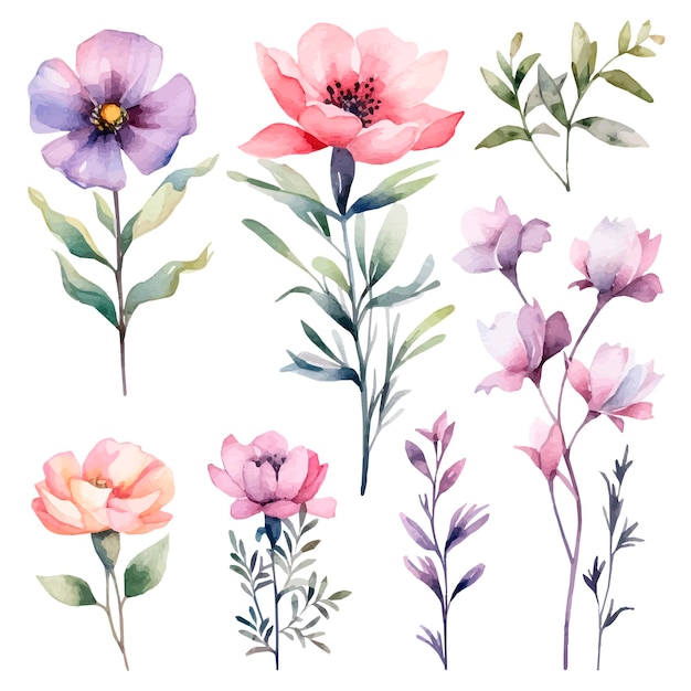 Set d'aquarelles à fleurs vectorielles