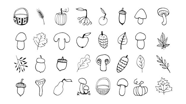Set d'automne dessiné à la main avec des feuilles de glands, des champignons, des citrouilles et des griffons Illustration pour le design saisonnier