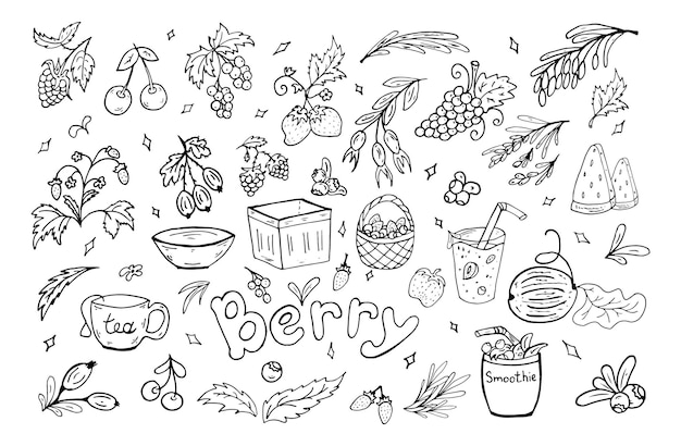 Set baies été doodle Vector illustration Berry feuilles paniers smoothies aliments sains