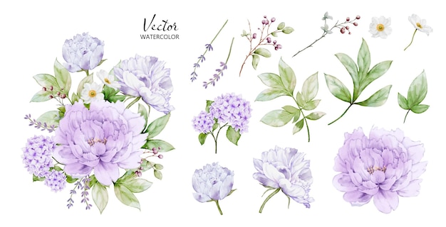 Vecteur set de bouquets d'aquarelle avec des éléments de fleurs de pioie