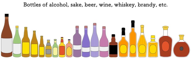 Set De Bouteilles De Saké Une Bouteille De Saké Et Une Botte De Bière Ou Une Bouteelle De Vin Ou Une Botteille De Whisky