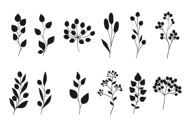 Set de branches dessinées à la main silhouettes isolées sur fond blanc belle collection de griffons de