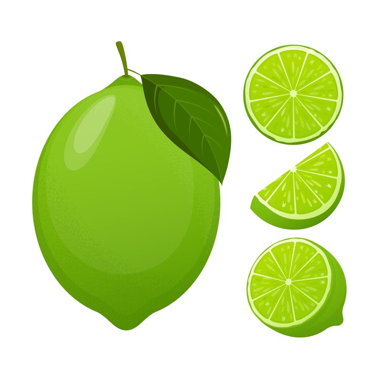 Vecteur set de citron vert frais avec différentes vues de moitiés et tranches de citron blanc entier